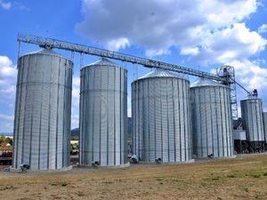 grain conveyor