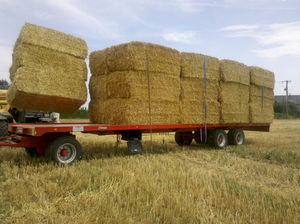 flatbed trailer