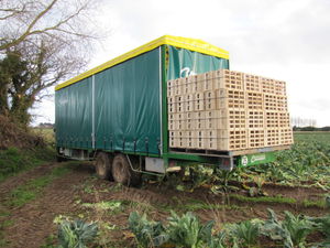 flatbed trailer