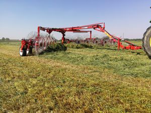 rotary rake