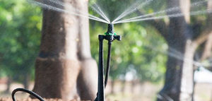 flow-regulated micro sprinkler