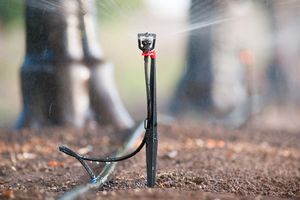 inverted micro sprinkler