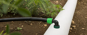drip line / PE / flow-regulated