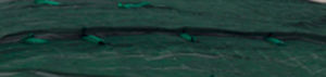 silage film / UV-resistant / white / black