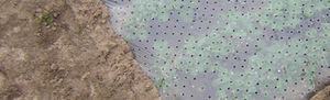 greenhouse sheeting