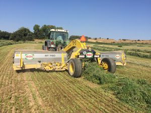 hay merger