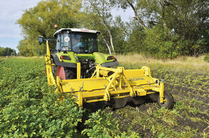 sugar beet haulm topper