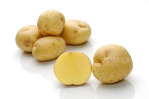 medium early potato seed