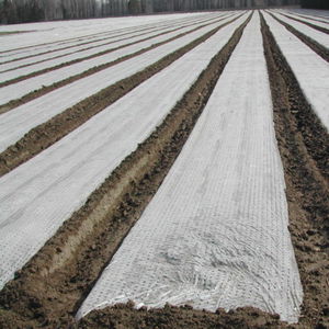 weed control film