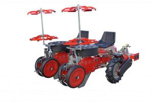 tobacco transplanter