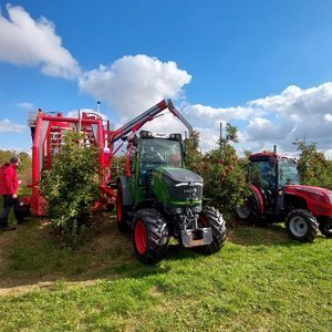 plum harvester machine