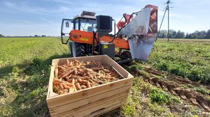 carrot harvester machine