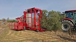 olive harvester machine