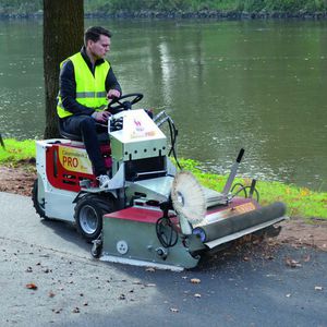 Self propelled lawn online sweeper