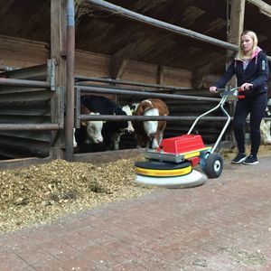 walk-behind sweeper