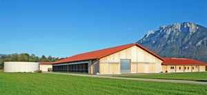 dairy cattle barn