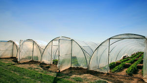 greenhouse sheeting