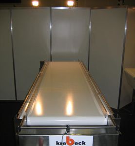 fruit conveyor