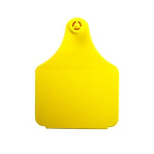 cattle ear tag