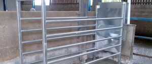 cattle feed station