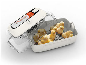 poultry brooder