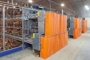 stainless steel frame broiler rearing cage