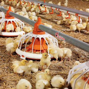 poultry pan feeder