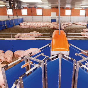 pig sorting gate