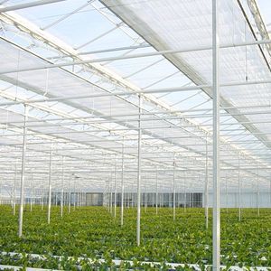 multi span greenhouse