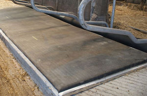 rubber cow mattress