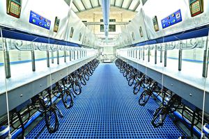cow milking parlour 1