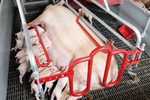 anti-crush protection farrowing pen