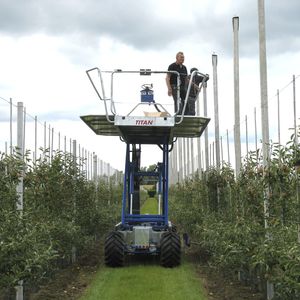 orchard platform