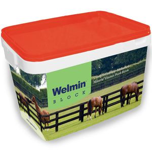 horse lick block