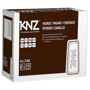 horse lick block