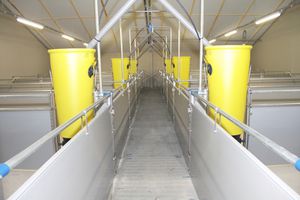 slatted floor finishing pen