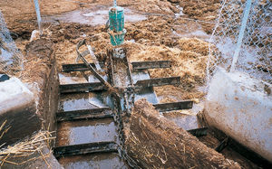 chain manure scraper