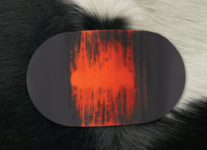 heat detection label