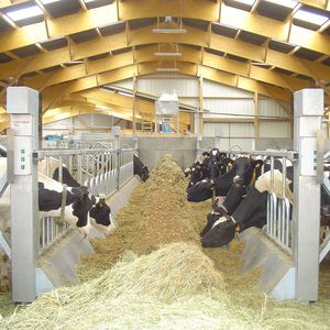 Antislip Agricultural Livestock/Cow/Horse Stable Small-Square