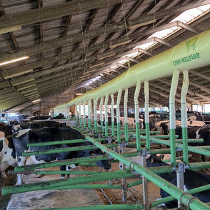 adjustable-width cow cubicle