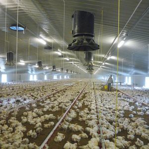 air inlet for livestock buildings