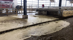 feed valve