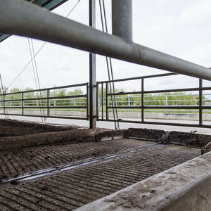 chain manure scraper