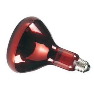 piglet heating lamp