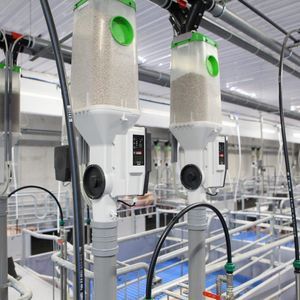farrowing pen feeding system 1