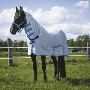 horse blanket