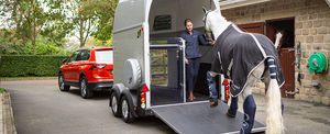 horse stock trailer