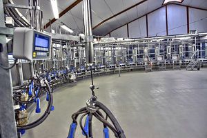cow milking parlour