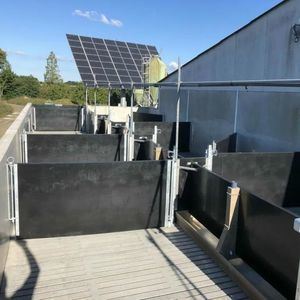pig loading ramp