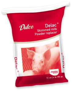 pig milk replacer